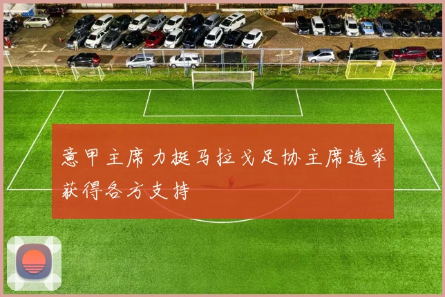 意甲主席力挺马拉戈足协主席选举获得各方支持