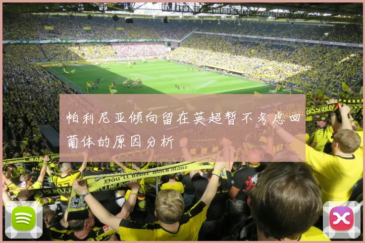 帕利尼亚倾向留在英超暂不考虑回葡体的原因分析